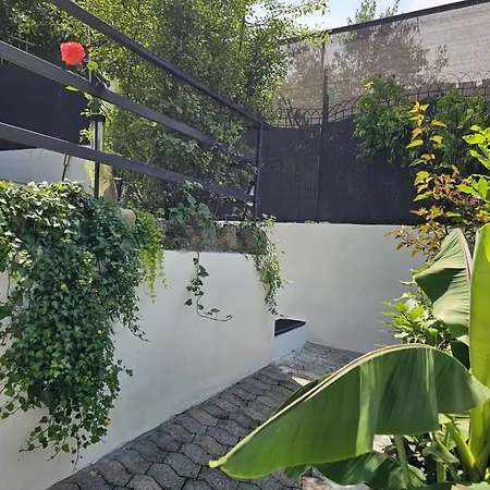 Apartmán Casa Pina *